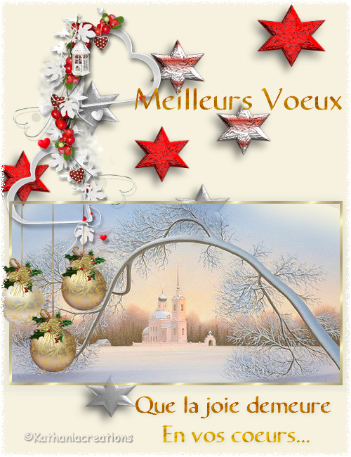 Meilleurs Voeux 