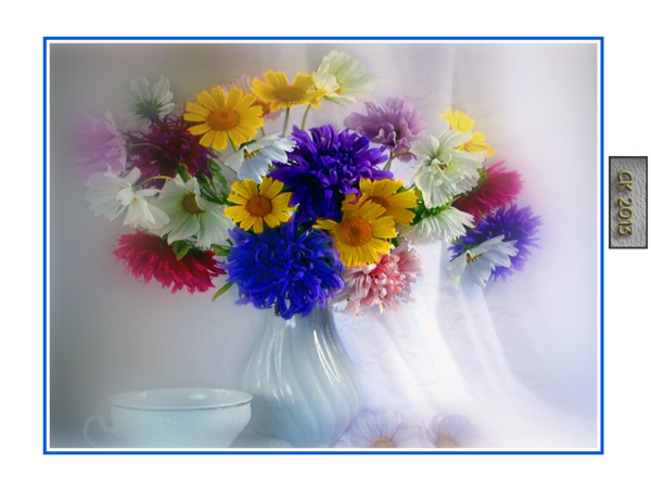 Cadre fleurs multicouleurs